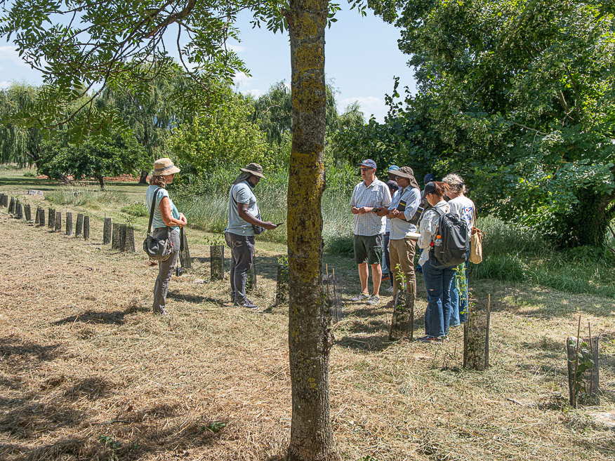 ARR Study Tour_18 juin 2026-287