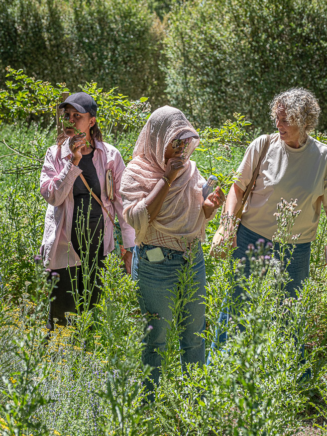 ARR Study Tour_19 juin 2026-390