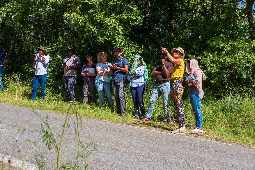 ARR Study Tour_16 juin 2026-035