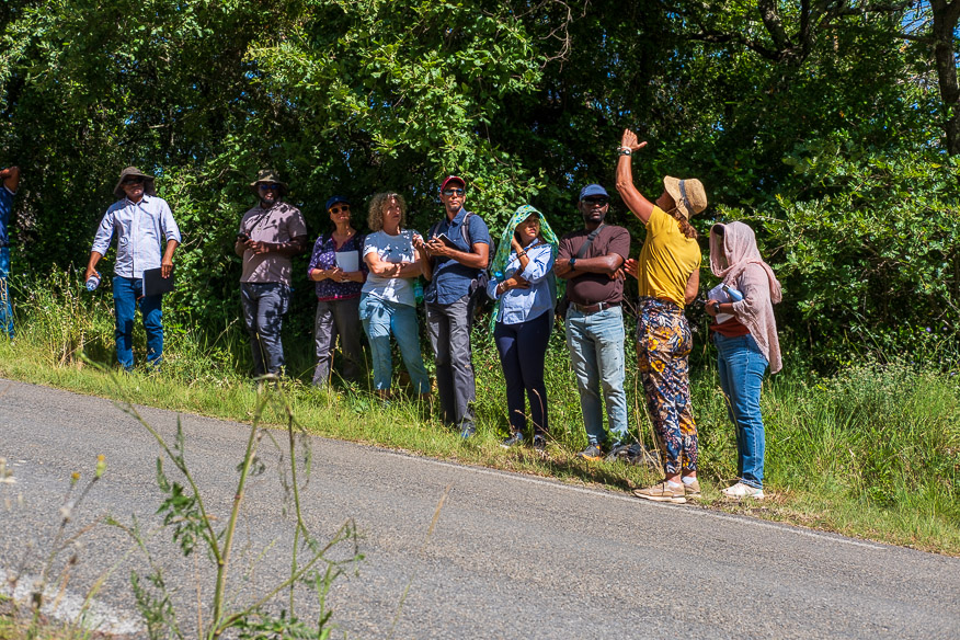 ARR Study Tour_16 juin 2026-036