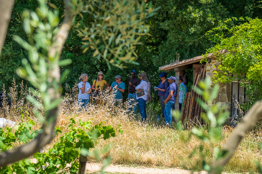 ARR Study Tour_16 juin 2026-065