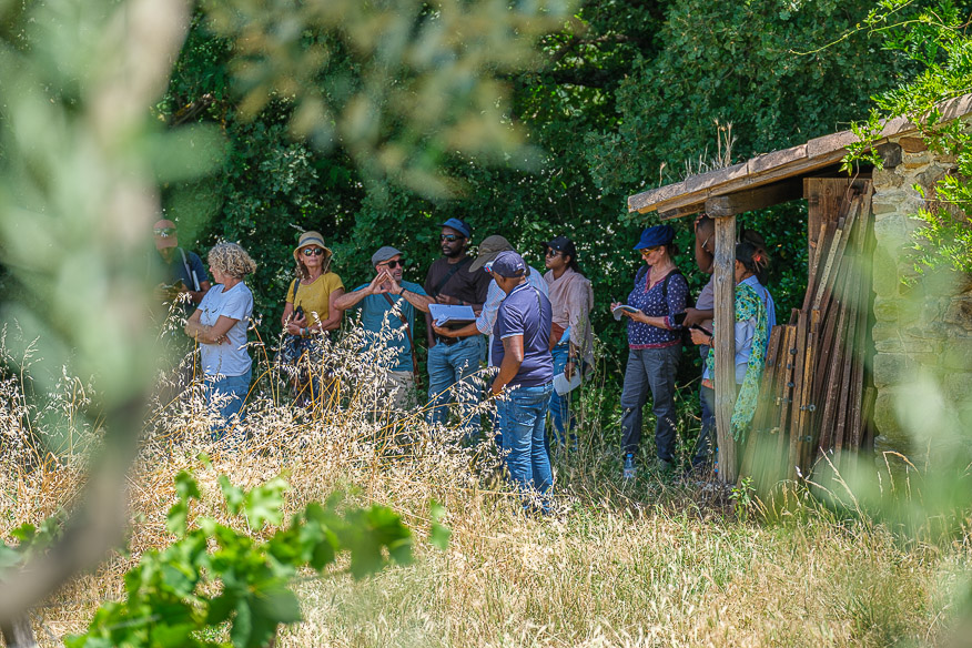 ARR Study Tour_16 juin 2026-066