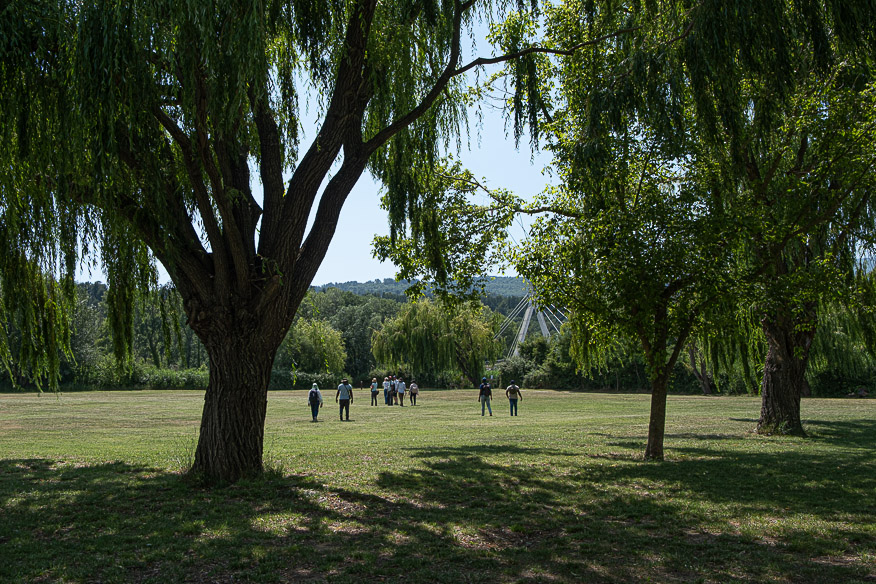 ARR Study Tour_18 juin 2026-296