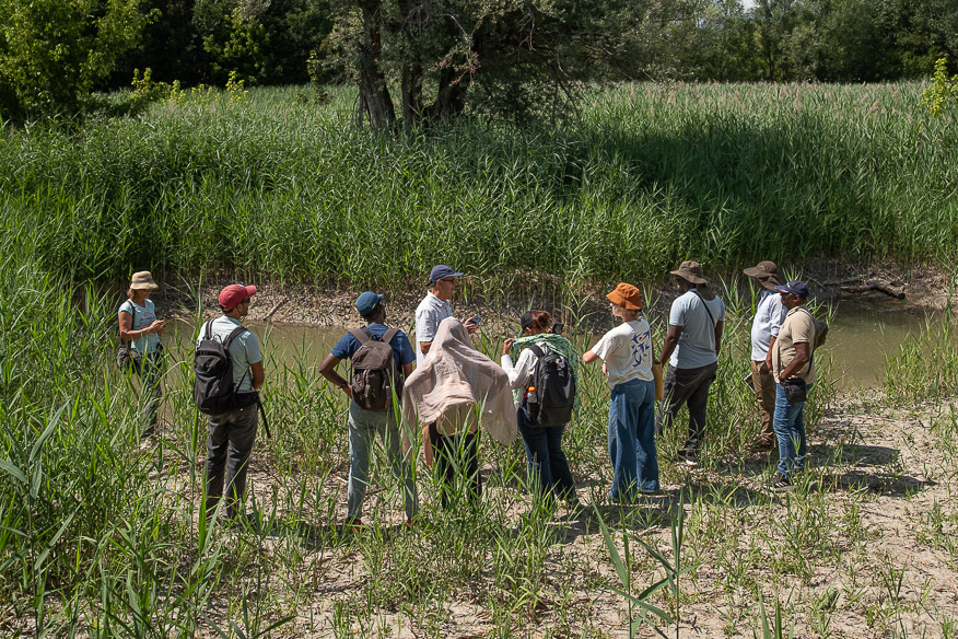 ARR Study Tour_18 juin 2026-301