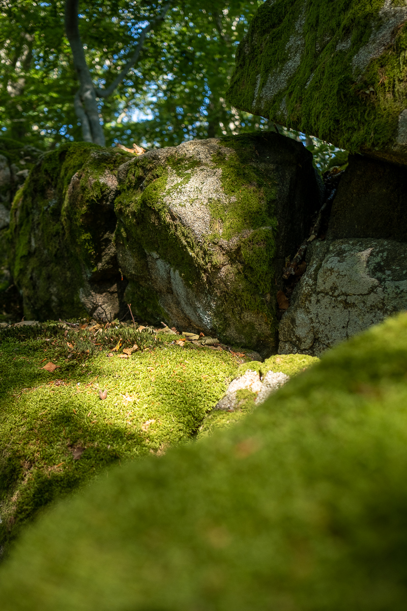 Flo-Pichol_Rebouteuse_102